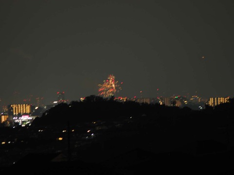 20220827なにわ淀川花火 (113)