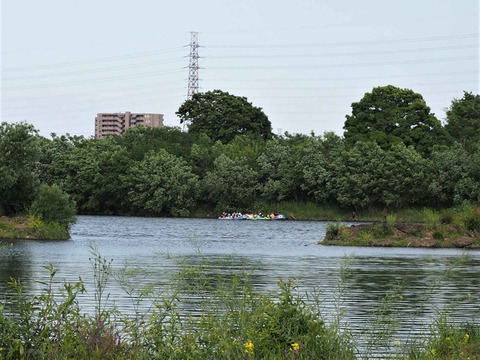 20230504檜尾川突堤 (21)