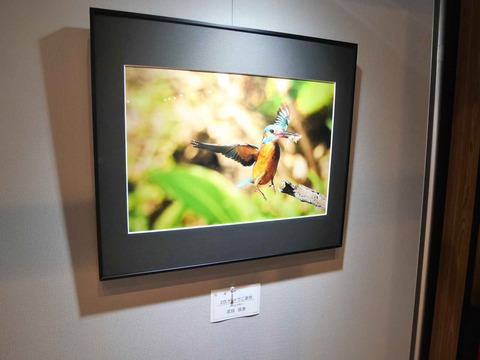20240921高槻市美術展 (46)