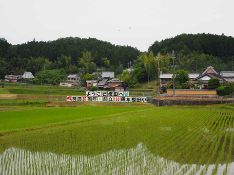 20230610樫田小学校 (2)