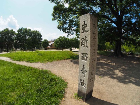 20230616東寺 (62)
