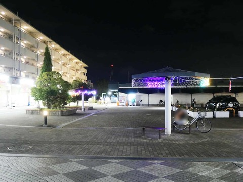 20241118富田団地イルミ (5)