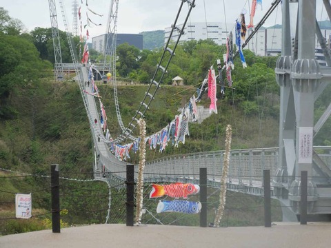 20260430安威川ダム (21)