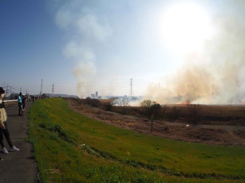 20230312ヨシ焼き (31)