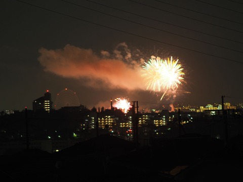 20221126万博花火 (23)