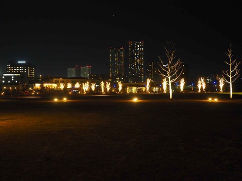 20230203安満遺跡公園 (8)