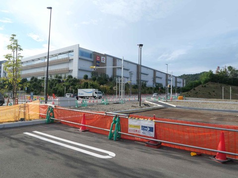 20241027吊り橋 (36)