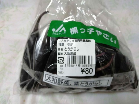 20221010紫とうがらし (7)