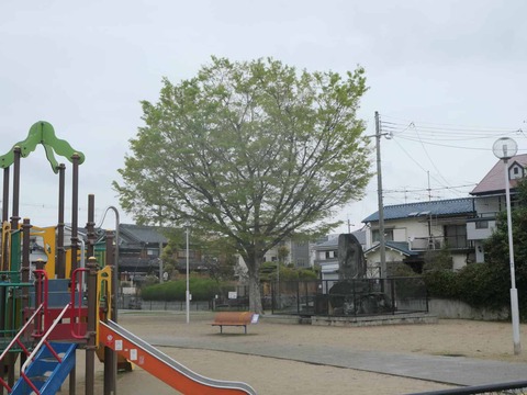 20260401富田桜 (21)