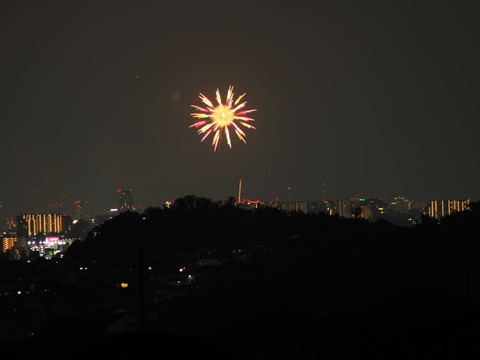 20220827なにわ淀川花火 (143)