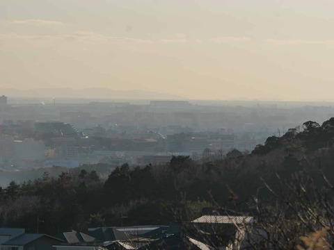 20260109彩都 (28)