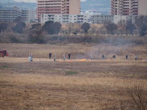 20220213ヨシ焼き (13)