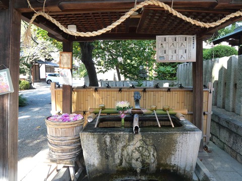 20241006野見神社 (2)