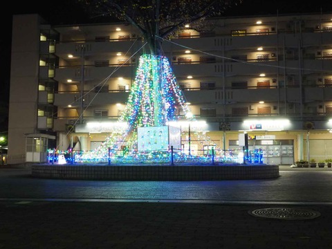 20221128牧田町 (3)