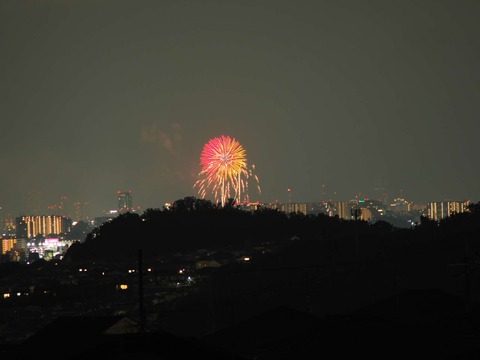 20220827なにわ淀川花火 (90)