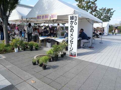 20241020都市緑化フェア (30)