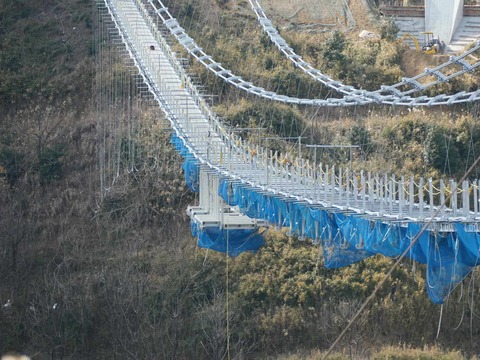 20250206吊り橋 (18)