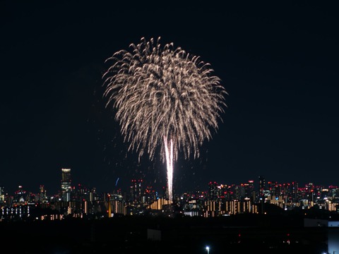 20240808辨天花火 (46)