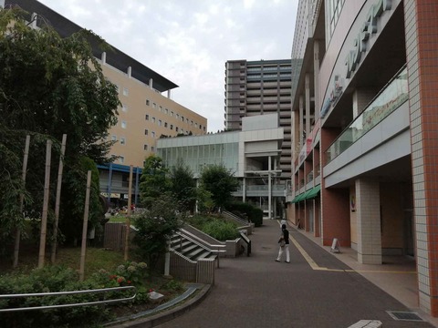 20220718長岡京 (3)