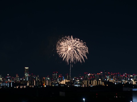 20240808辨天花火 (23)