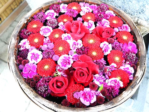 20241119野見神社 (8)