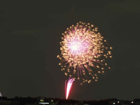 20230808辨天花火 (35)