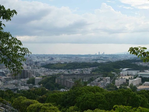 20260813公園墓地 (6)