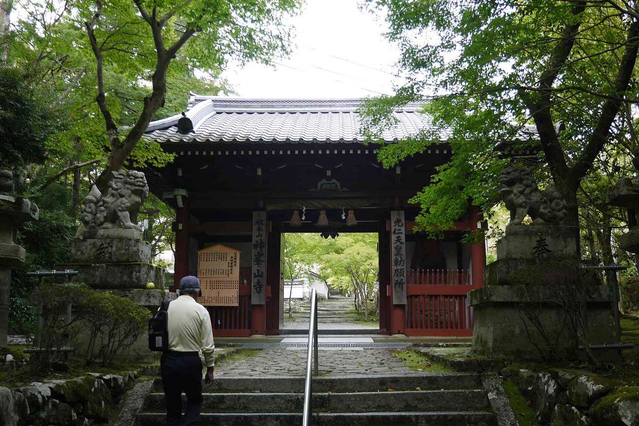 神峰山寺 紅葉のまえのようすを見てきた 19年10月日時点 高槻network新聞 神峰山寺 紅葉のまえのようすを見てきた 19年10月日時点 高槻network新聞