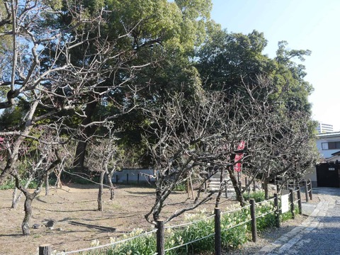 20260204上宮天満宮 (9)