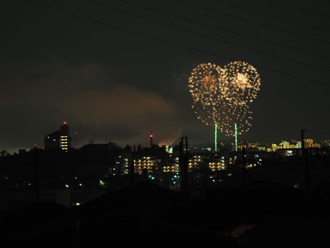 20221126万博花火 (33)