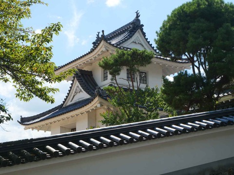 20240818園田城 (93)