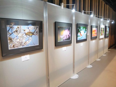 20240921高槻市美術展 (36)