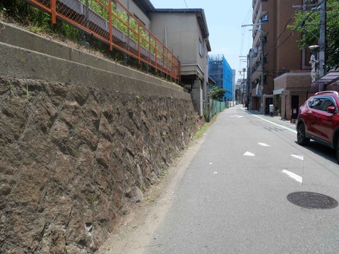 20240616下新庄付近 (19)
