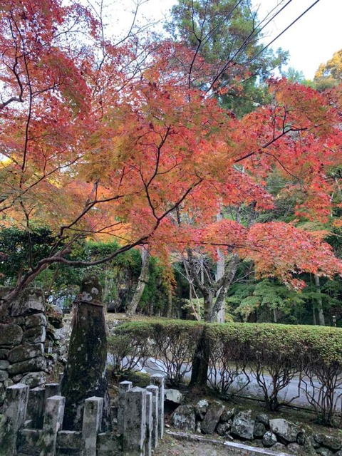 20221117神峯山寺 (5)