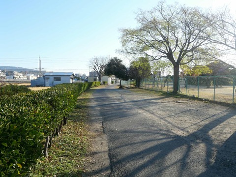 20250102郡家素戔嗚尊神社 (3)