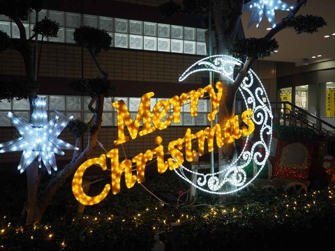 20231130アクトアモーレ (10)