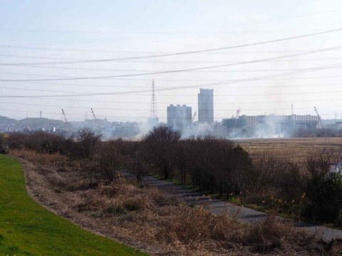 20230312ヨシ焼き (20)