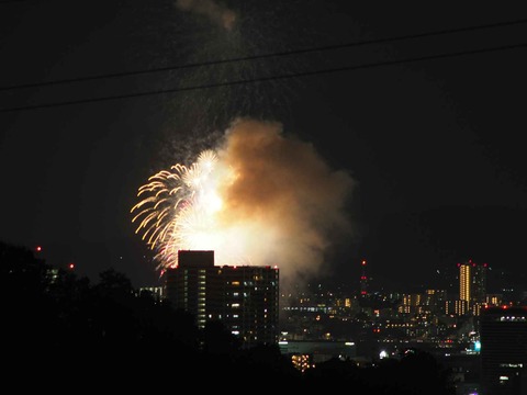 20220904くらわんか花火 (28)