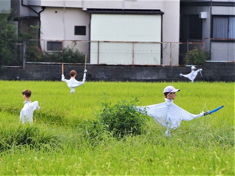20230909氷室かかし (5)