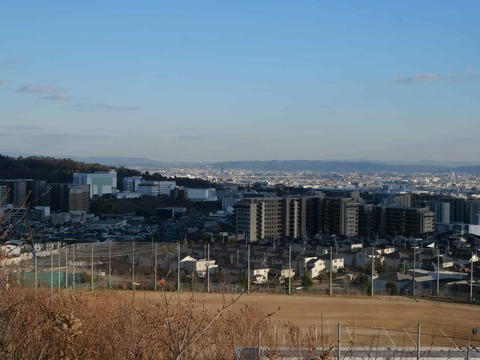 20260109彩都 (52)