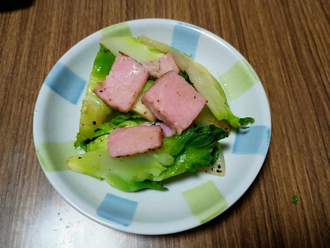 20240211たかな (4)