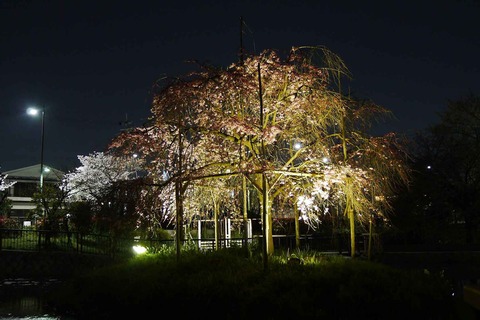 20200402sidare5