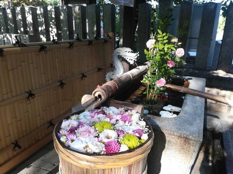 20220605野見神社 (3)