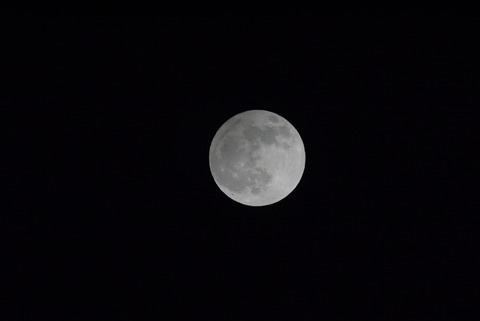 20201130hanei2