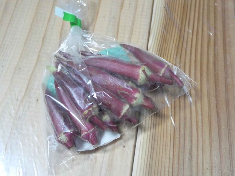 20240923赤オクラ (2)