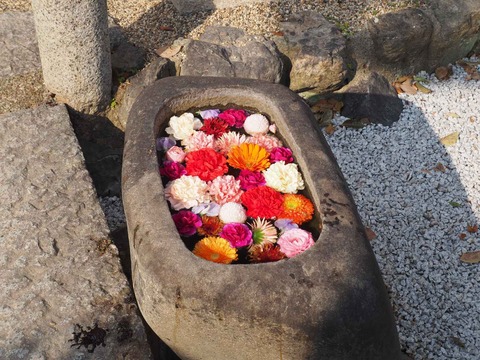 20220312野見神社 (8)