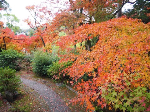 20221123大門寺 (24)