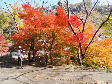 20221112森林センター (6)
