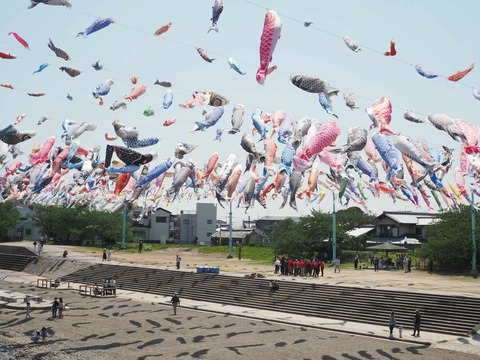 20250426こいのぼり (23)