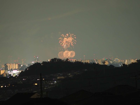 20220827なにわ淀川花火 (57)